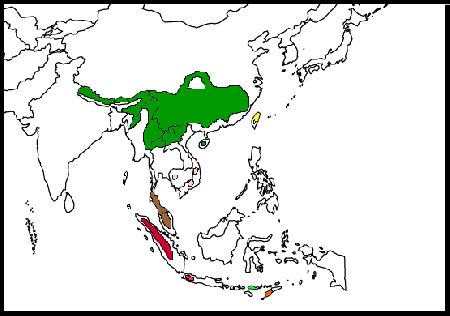 Maps-PygmyWrenBabbler.png