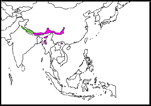 Map-Scaly-breastedWrenBabbler.png