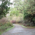 Tilden Regional Park.JPG