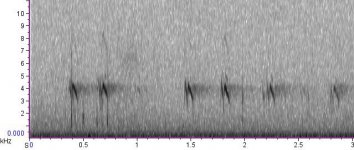 'Parakeet' or 1B Crossbill flight calls.jpg