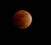 moon eclipse 056crop resize.jpg