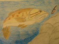 fish drawings 004.jpg