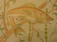 fish drawings 005.jpg