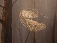 little-owl-finish.jpg