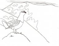 ptarmigan.jpg