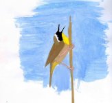 birddrawing012.jpg