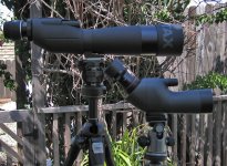 nikon fieldscope ed50 angled