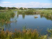 Quinta do Lago 1.JPG