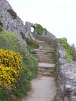 steps leading down to barafundle bay.jpg