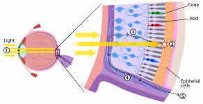 Eye_Diagram.png