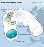 binoculars-porro-prism.gif