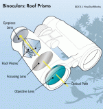 binoculars-roof-prism.gif