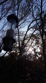 Austin Bird Feeder 20210326.jpg