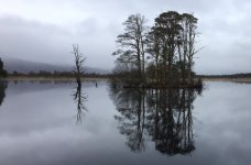 Loch Mallachie.jpg
