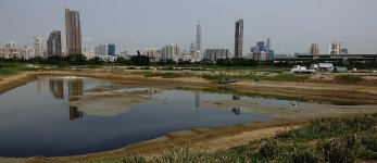 DSC00058 Drained Pond @ San Tin.jpg