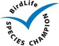 birdlife species champion.jpg