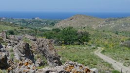 Faneromeni Lesvos Greece spring passerine migration hot spot   030517.jpg