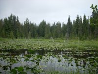 Trillium_Lake_resize.jpg