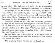 JfO 1928, p.596.jpg
