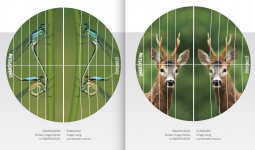 Nature vs Hunting brochures.jpg