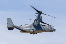 Osprey-(18)-fbook.jpg