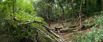 Feeding-Station_Pano.jpg