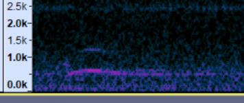 Owl Spectrogram 5.2 sec.PNG