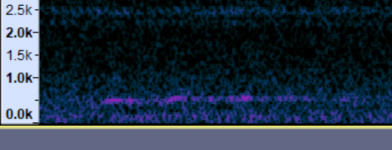 Owl Spectrogram 22.5 sec.PNG