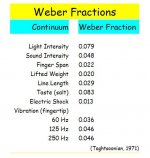 Weber Fractions.jpg