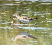 woodsand colcom.jpg