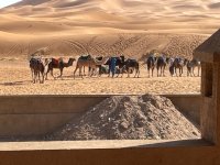 Morocco - dunes system at Yasmina.jpg