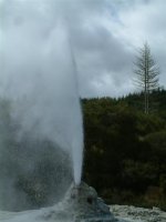 Lady Knox Geyser.jpg