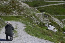 marmot-path.JPG