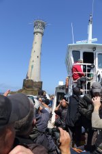 20230820 (4)_Booby_Twitchers_at_Bishop_Rock.JPG