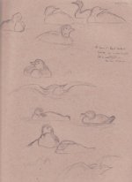 sketchbook 2008-10-12-1.jpg