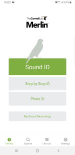 Screenshot_20231021-160342_Merlin Bird ID.jpg