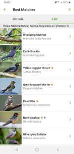 Screenshot_20231021-160259_Merlin Bird ID.jpg