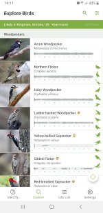 if you like woodpeckers.jpg
