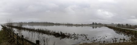 20230103 - Flooded fields by the B954.jpg