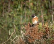 Mallorca-240108-5-dng_DxO.jpg