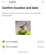 Screenshot_20240119-104246_Merlin Bird ID.jpg