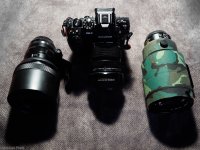 Zuiko vs Leica.JPG