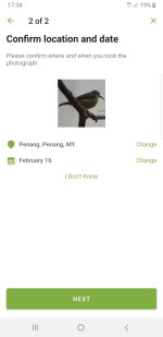 Screenshot_20240216-173417_Merlin Bird ID.jpg