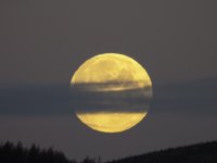 20240224 - Full moon over Balduff Hill.jpg