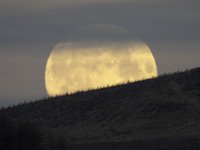 20240224 - Full moon behind Balduff Hill.jpg