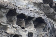 condor cliff.JPG