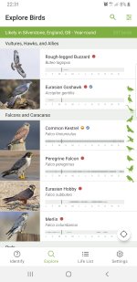 Screenshot_20240315-223159_Merlin Bird ID.jpg