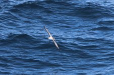 IMG_0512.JPG