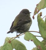 IMG_7309.jpeg