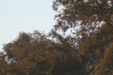 IMG_9612.JPG
